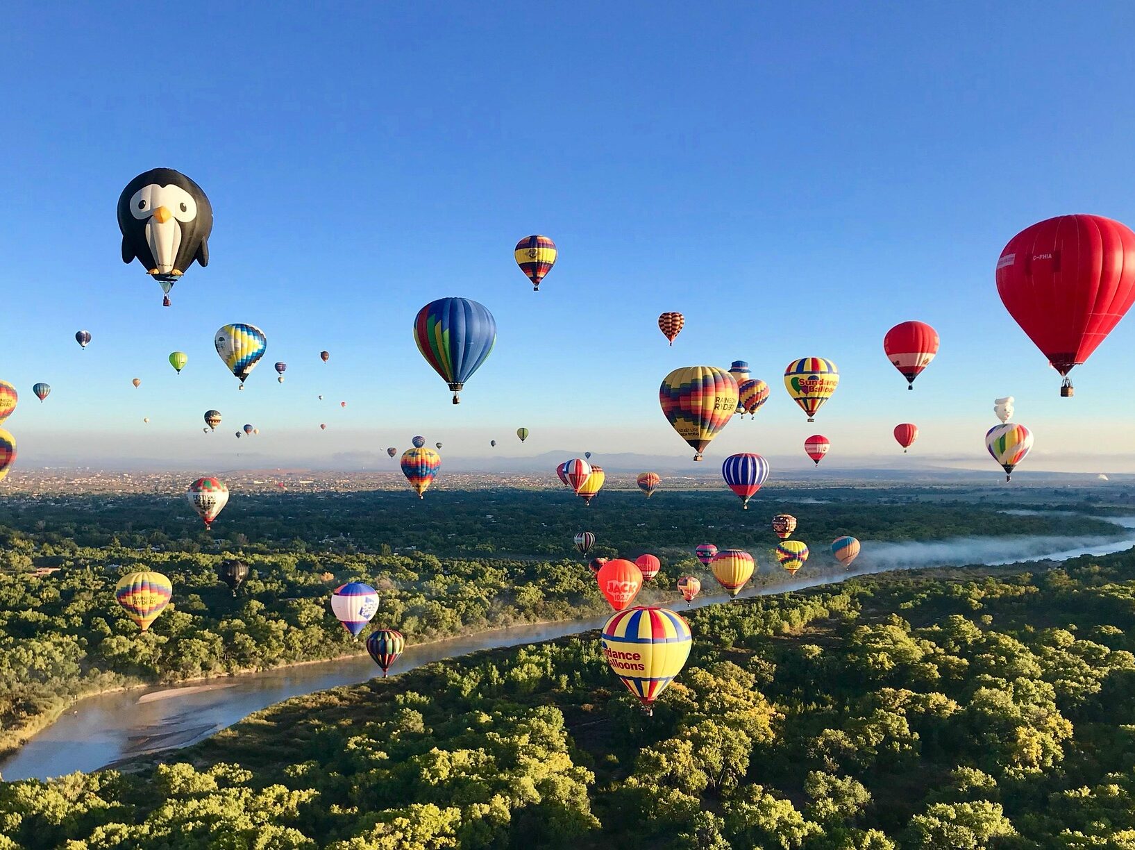albuquerque balloons in the sky