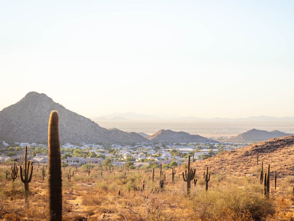 cactus and village on mountains