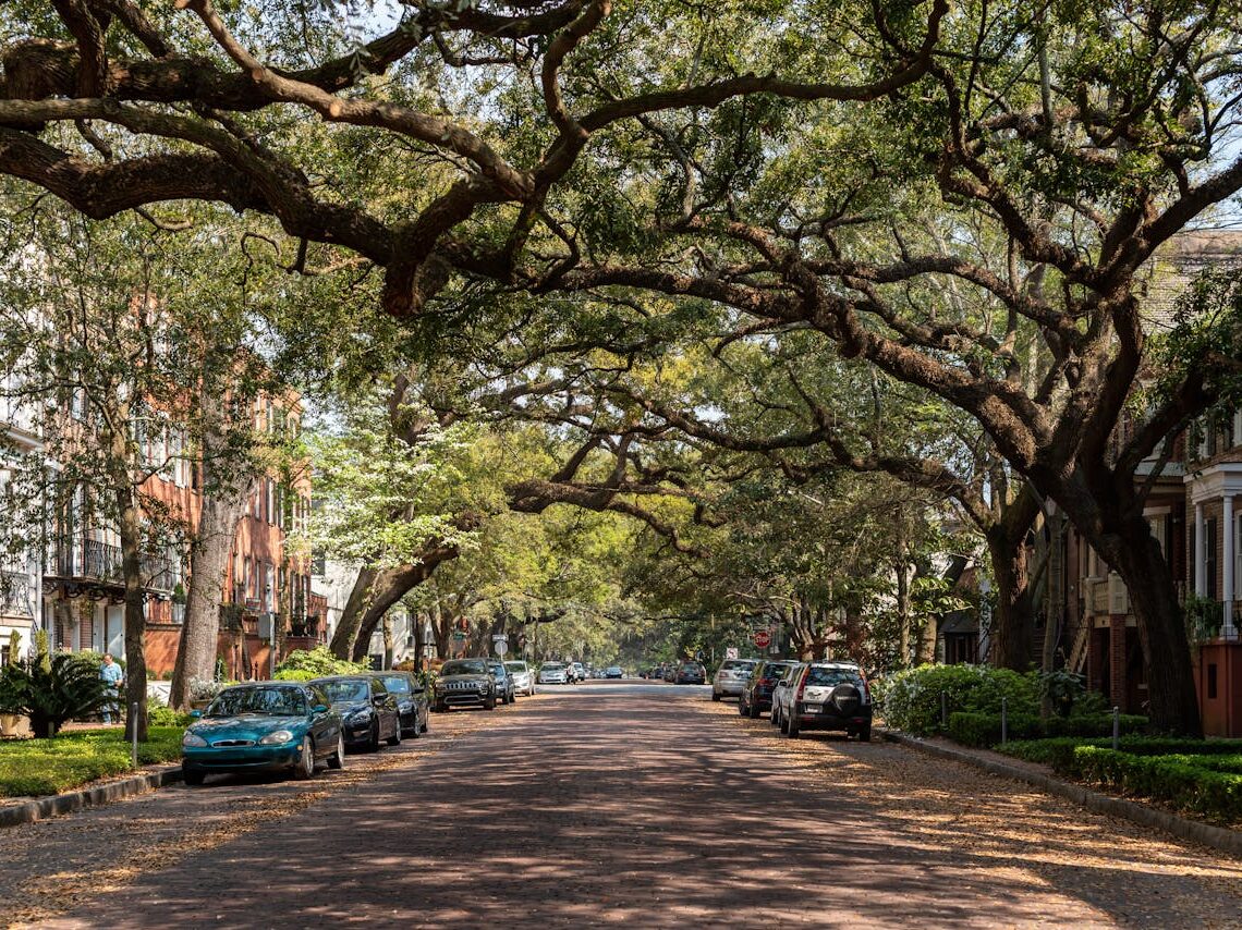 charming historic street in savannah georgia