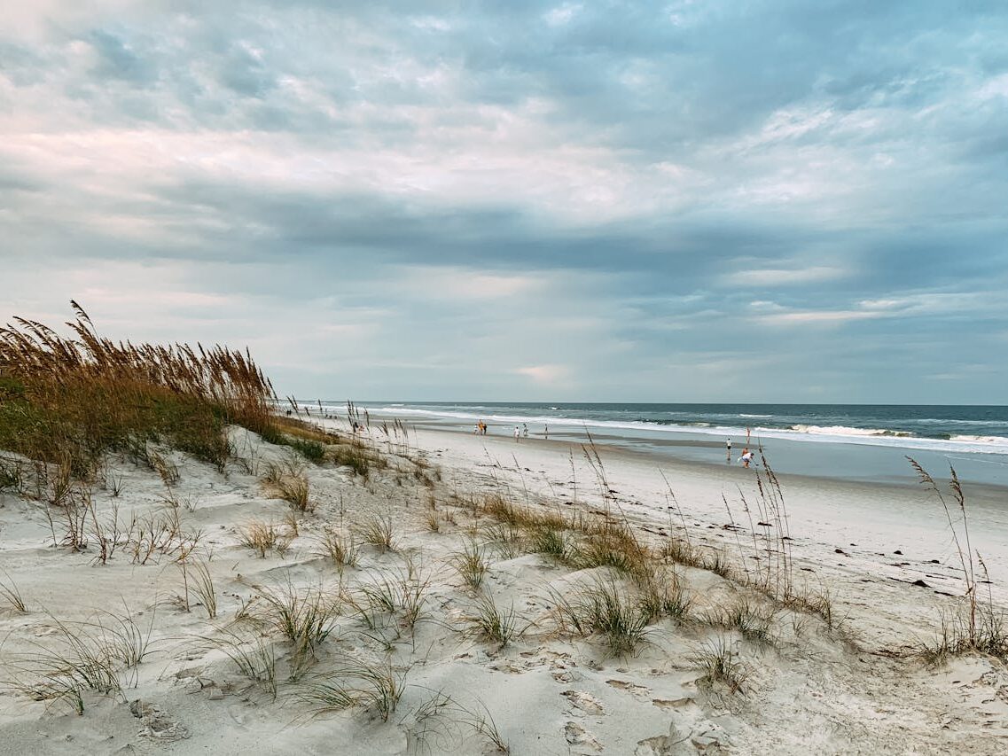 crashing waves on the shore