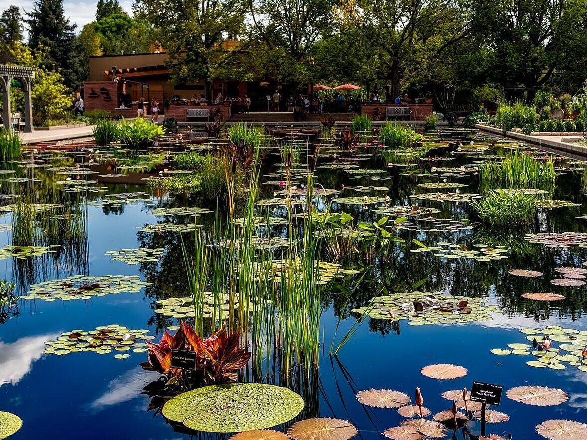 Denver botanic gardens