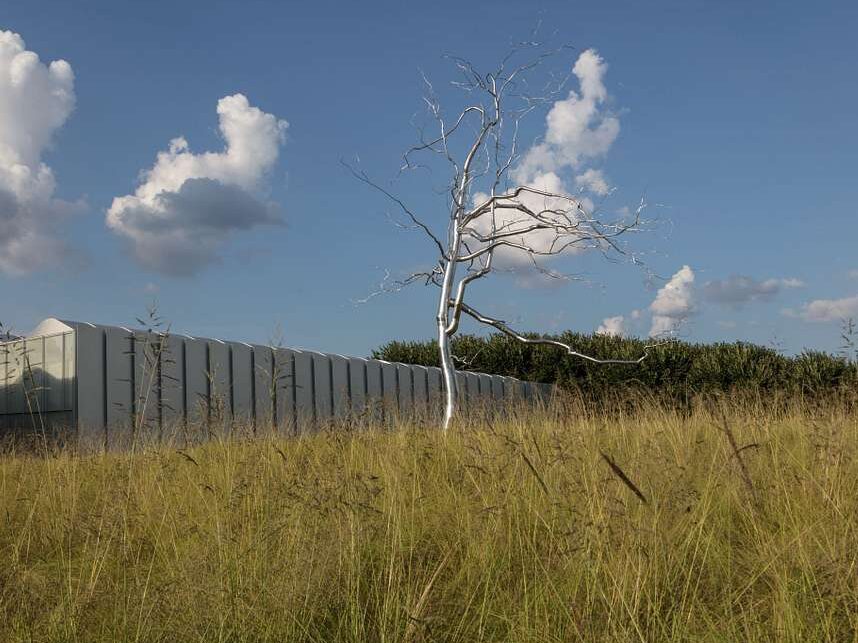 exhibit at the north carolina museum of art in raleigh
