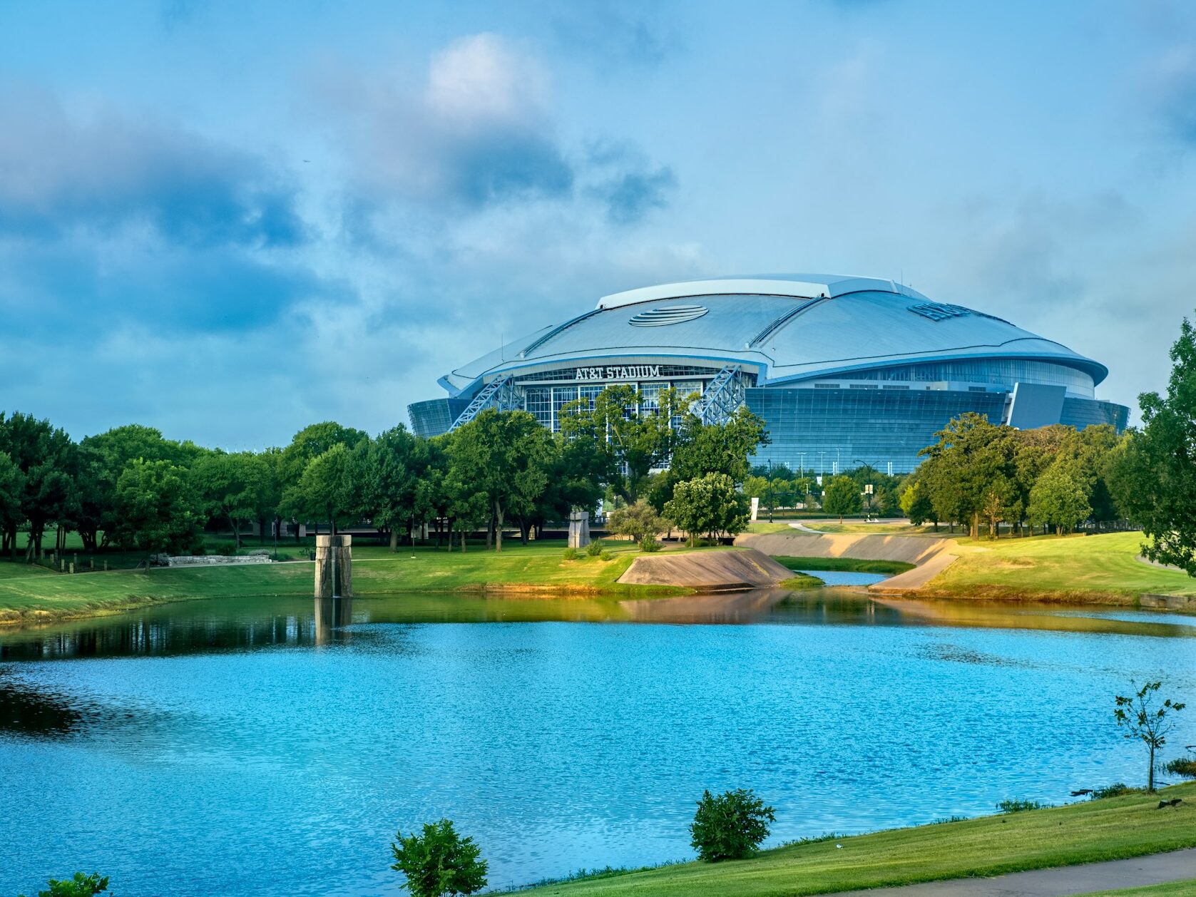 trees near body of water