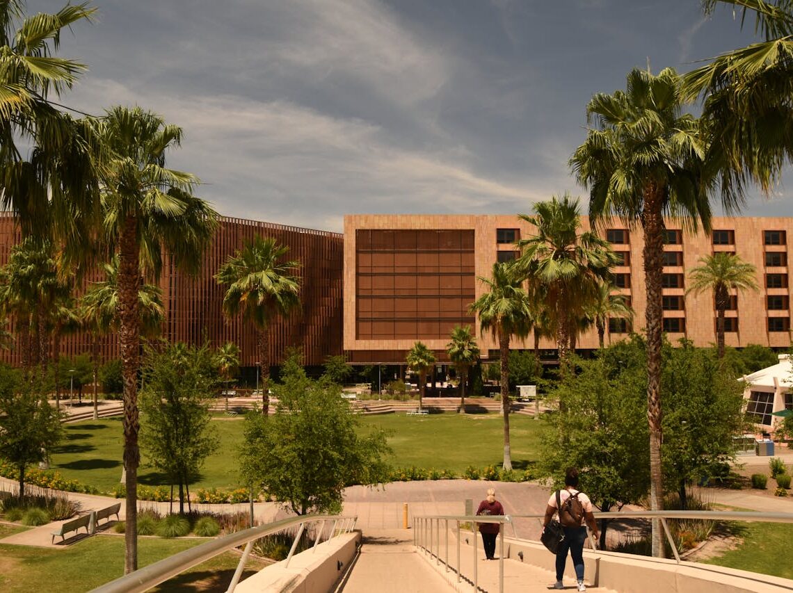 palm trees on square in arizona state university