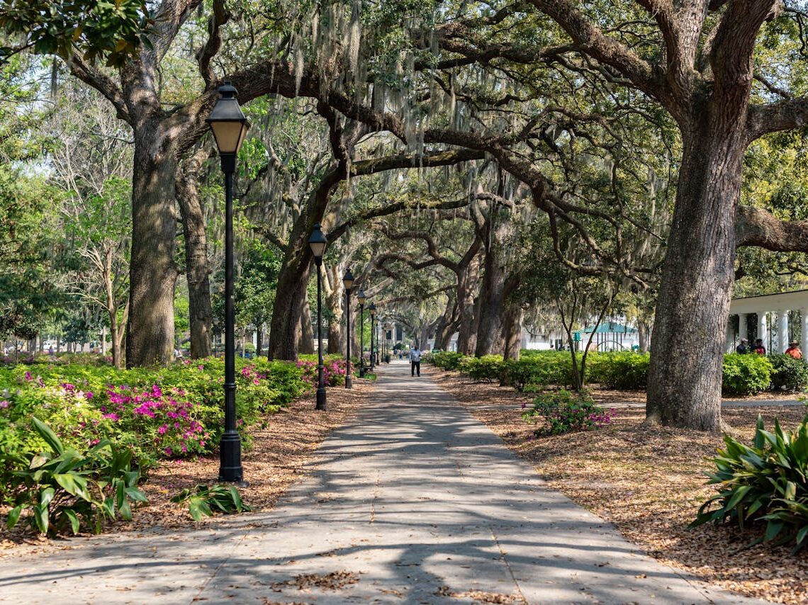 picturesque walkway in forsyth park