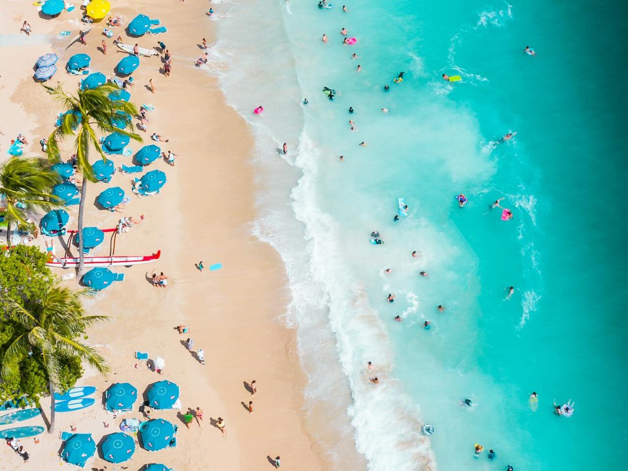sea beach in hawaii