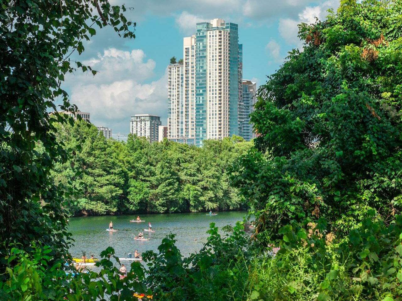 skyline of austin texas peeking over the lake