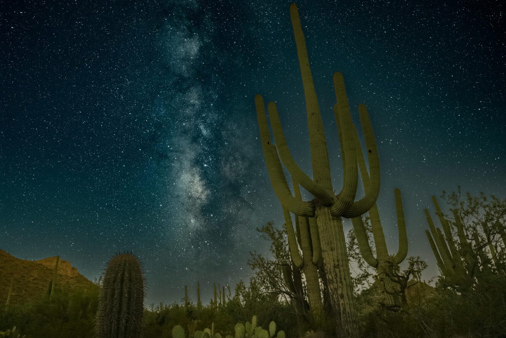 stunning night sky with saguaros in tucson desert