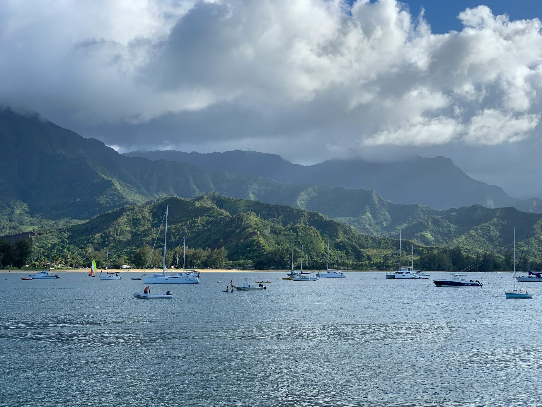 a group of boats floating