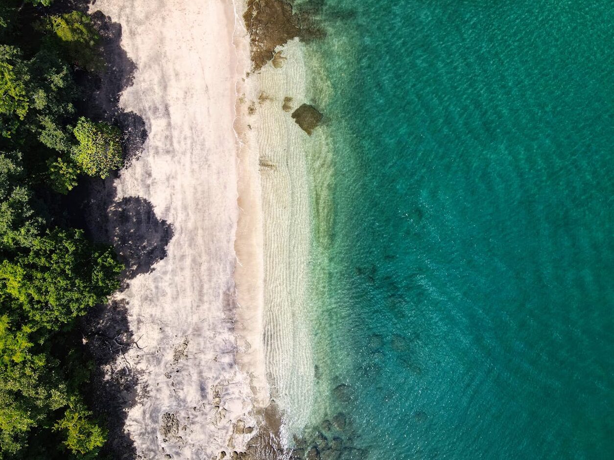 aerial view of a beach