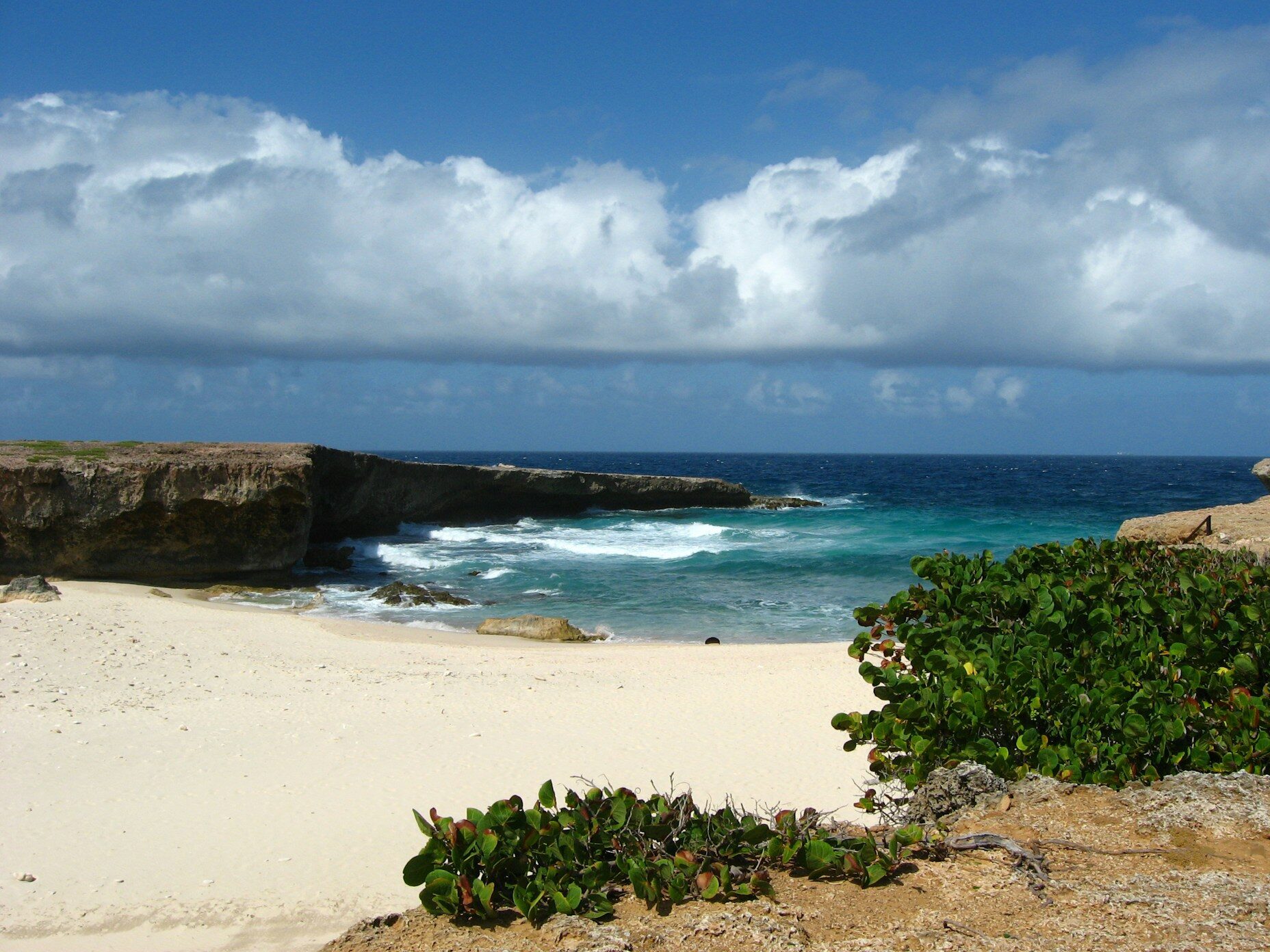 beach in aruba