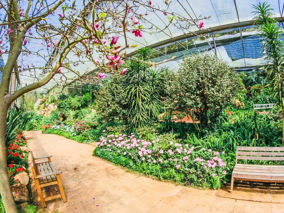 bench surrounded with green plants