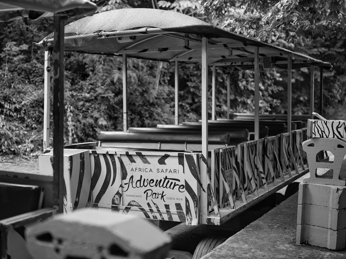 black and white photo of a train