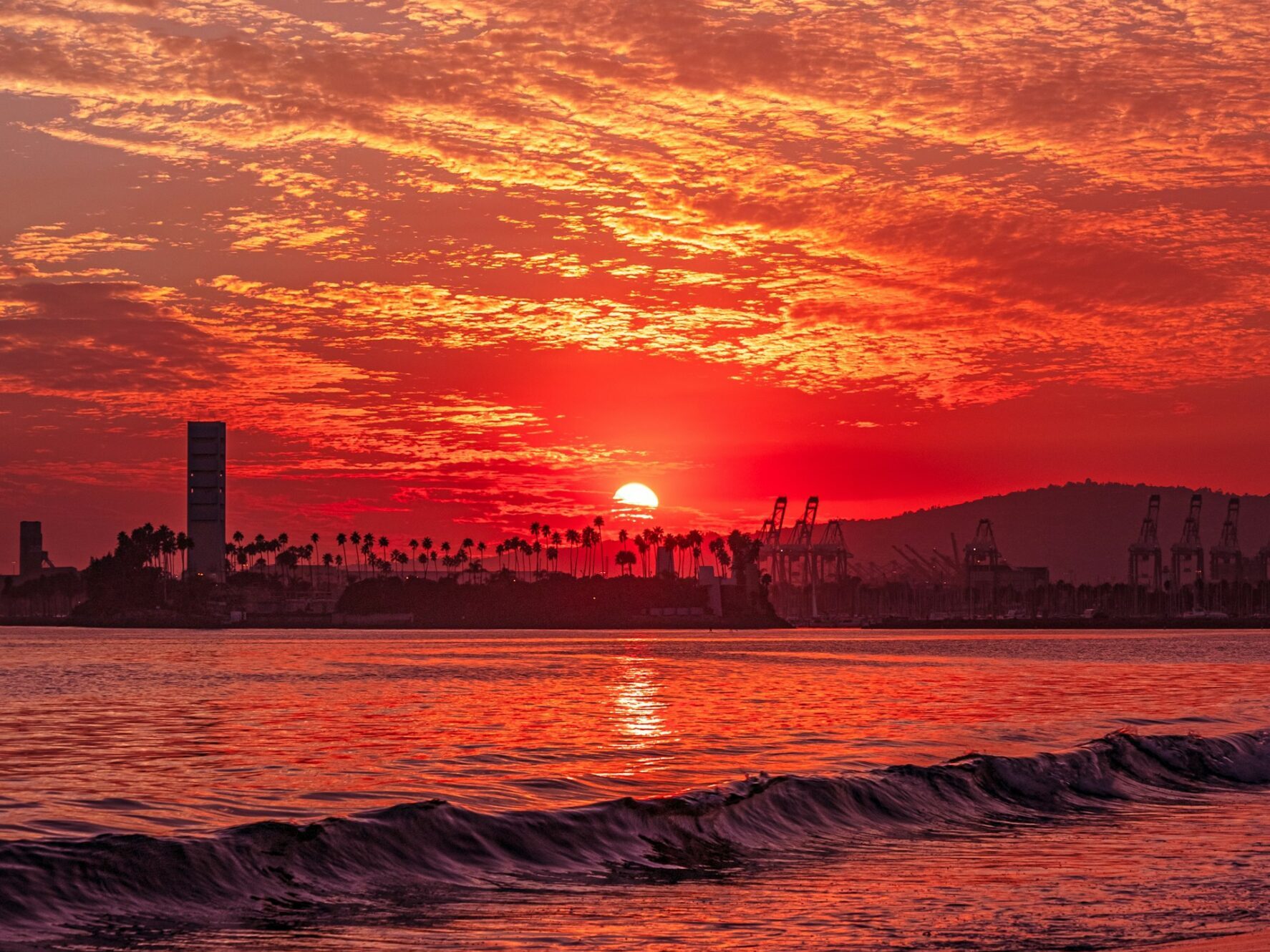 city skyline during sunset