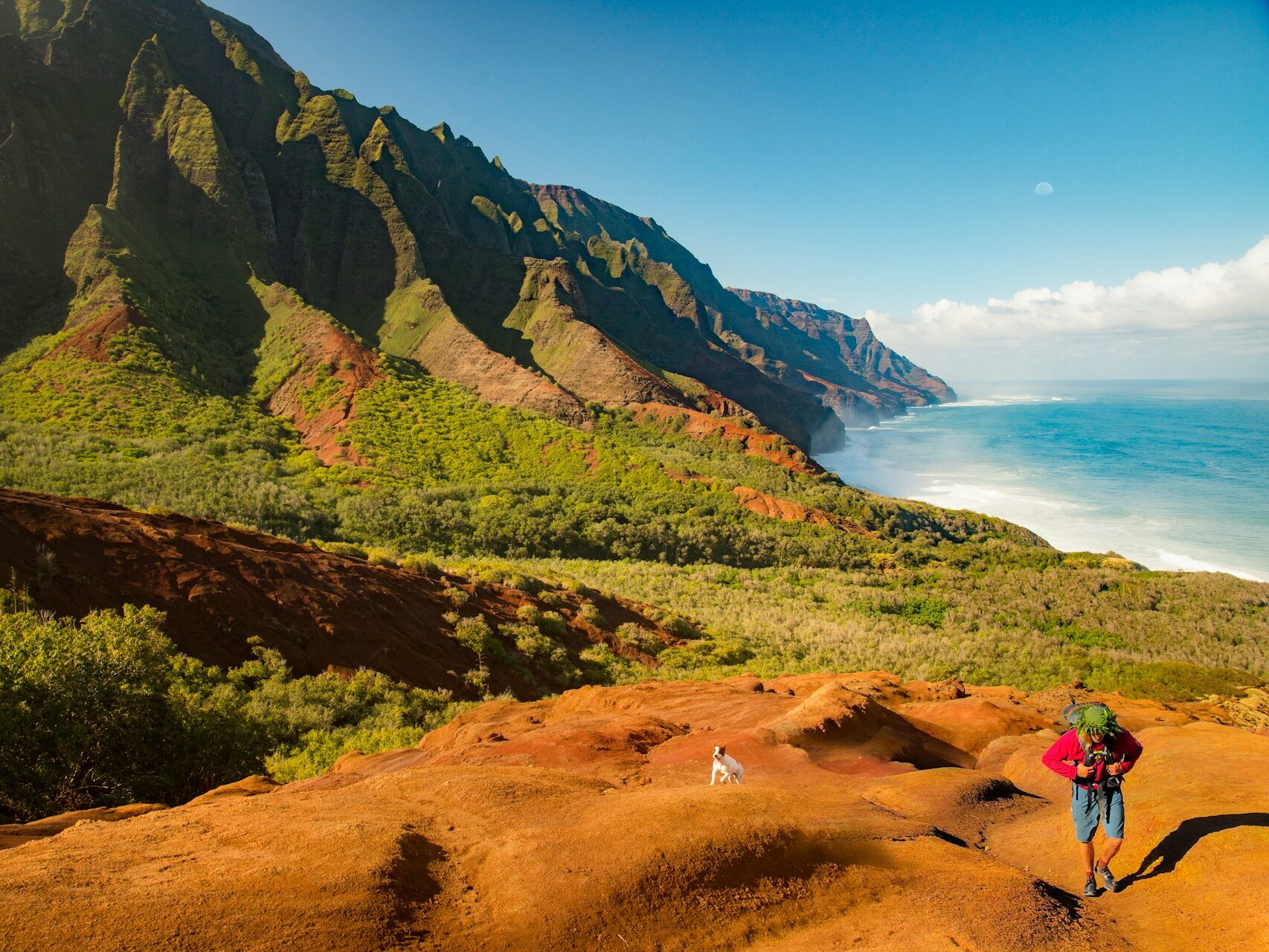 green and brown mountain