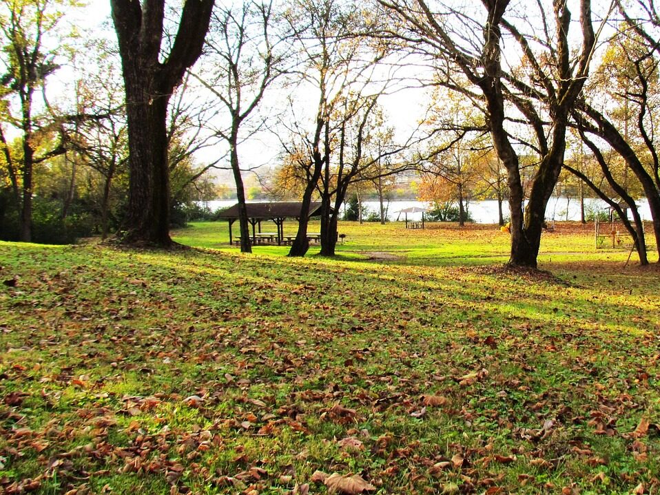 knoxville park