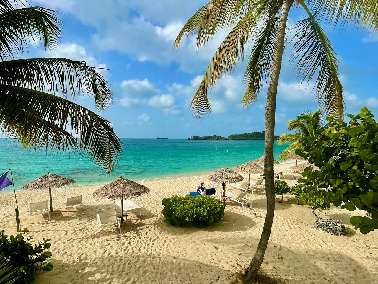 palm trees and beach umbrellas on tropical beach