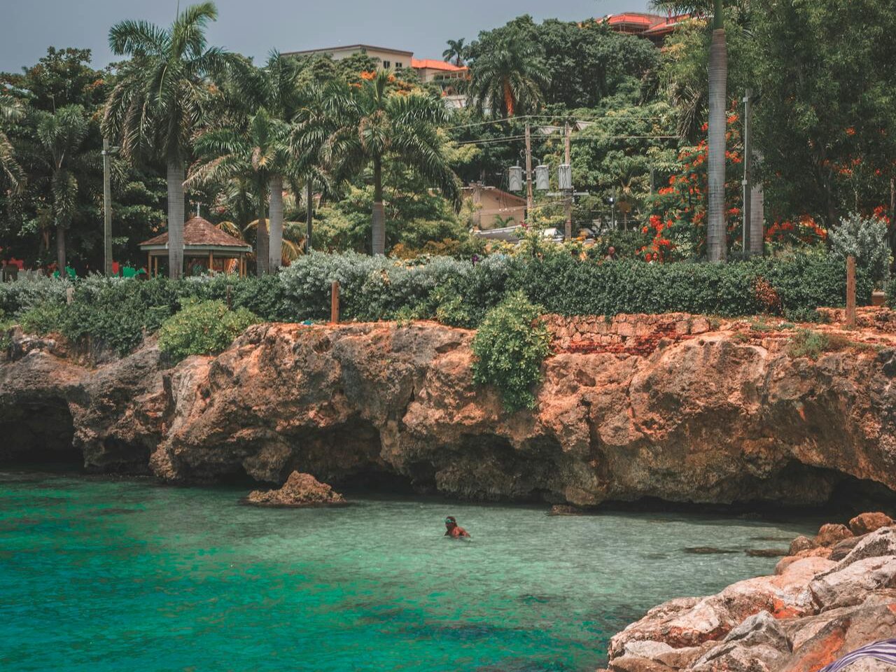 palm trees on island