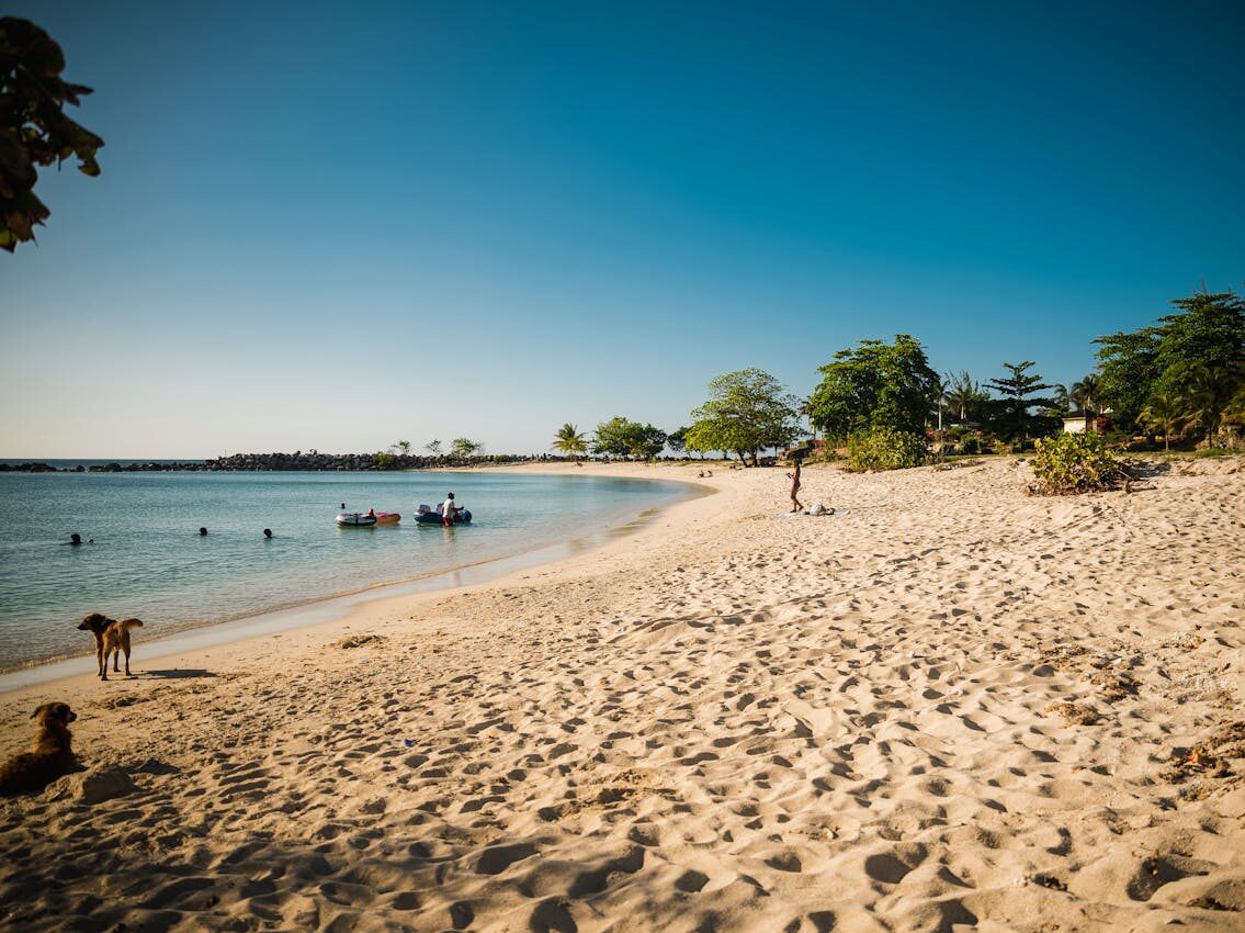 people swimming on the beach