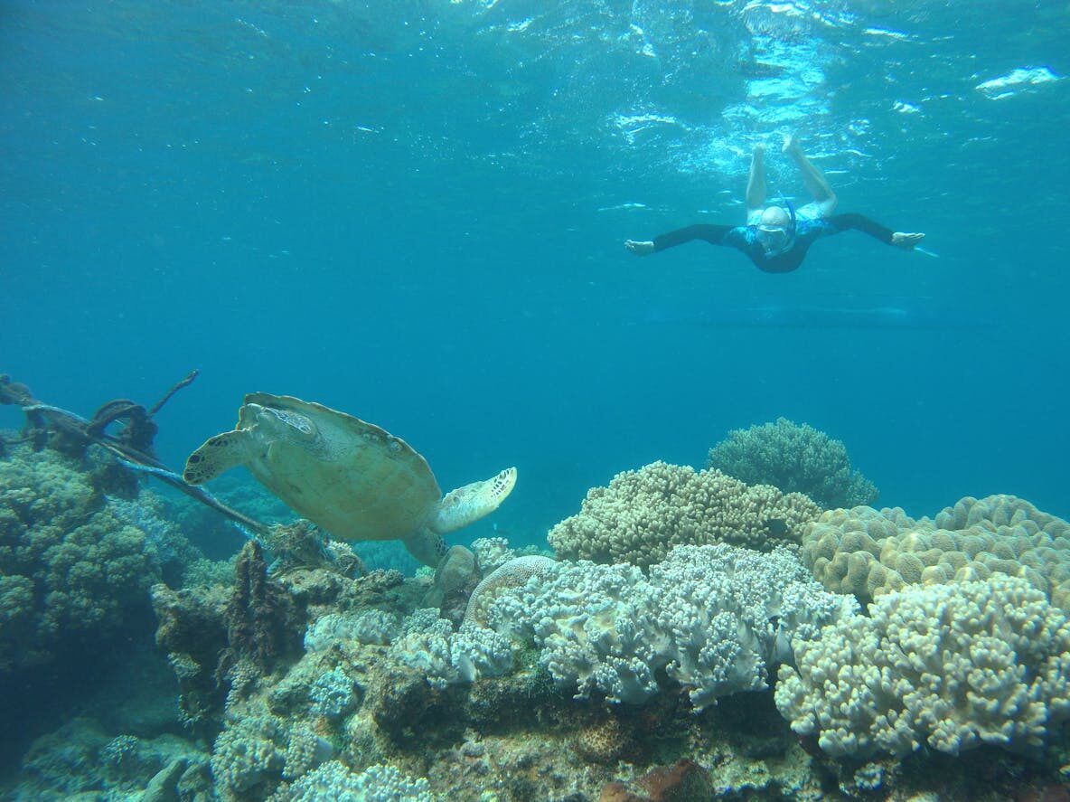 person swimming underwater