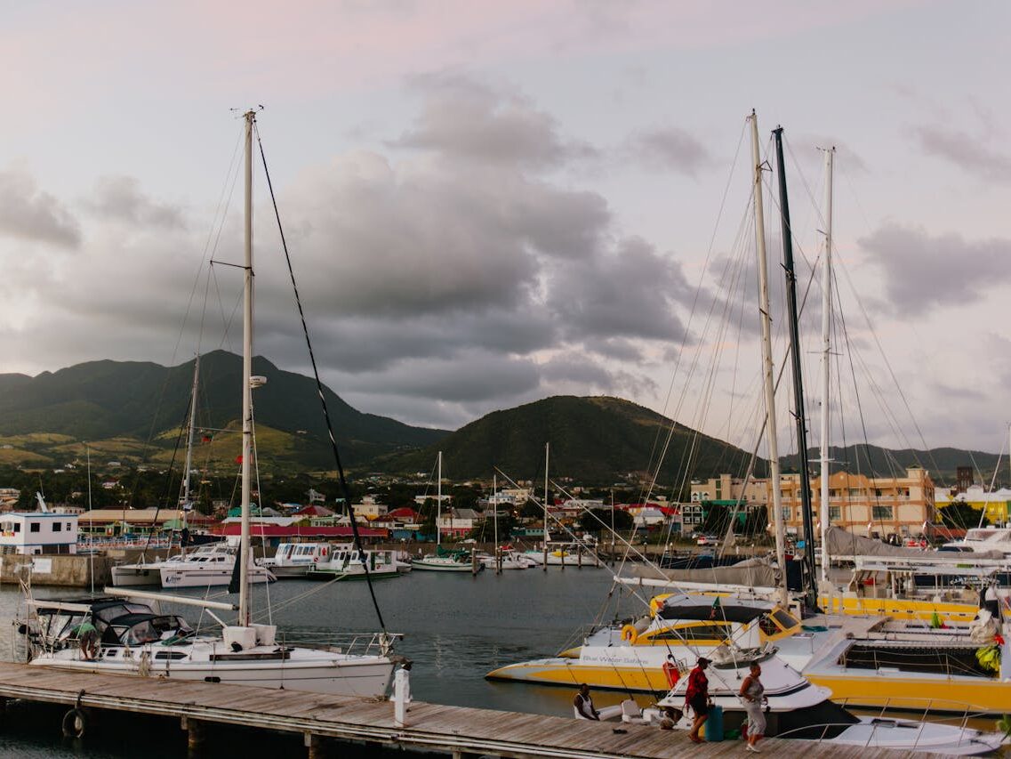 sailboats docked on the port
