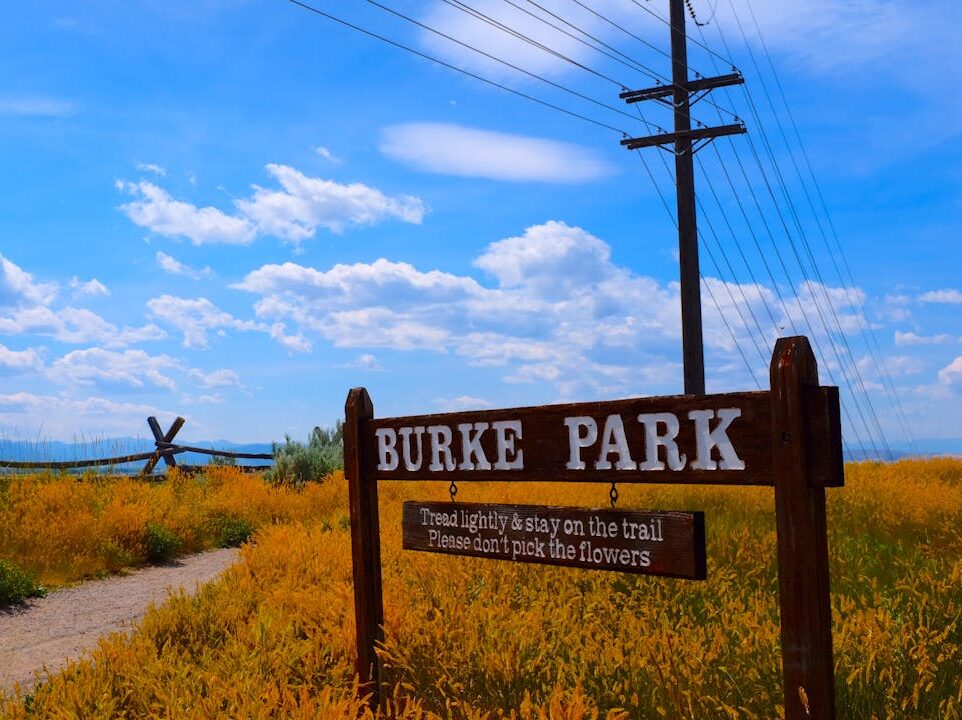 scenic burke park pathway