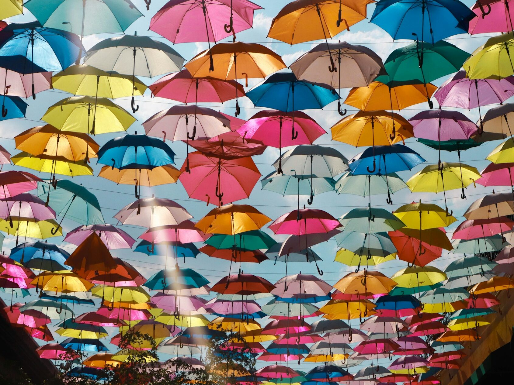 umbrellas